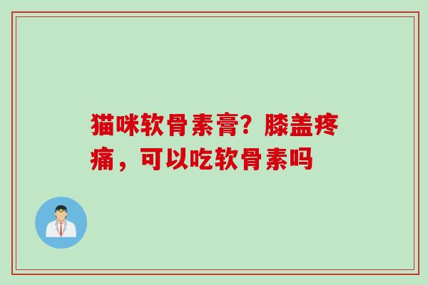 猫咪软骨素膏？膝盖疼痛，可以吃软骨素吗