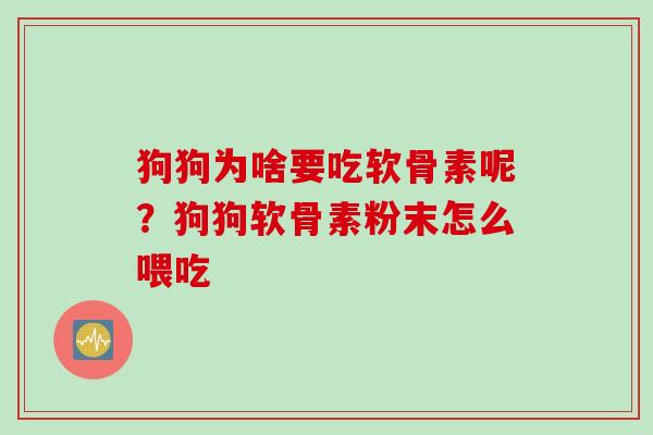 狗狗为啥要吃软骨素呢？狗狗软骨素粉末怎么喂吃