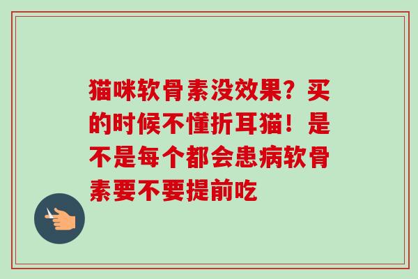 猫咪软骨素没效果？买的时候不懂折耳猫！是不是每个都会患病软骨素要不要提前吃