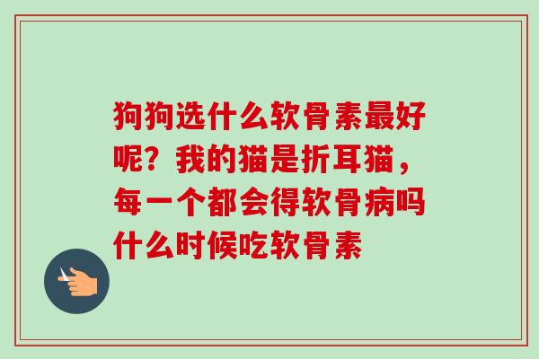 狗狗选什么软骨素最好呢？我的猫是折耳猫，每一个都会得软骨病吗什么时候吃软骨素