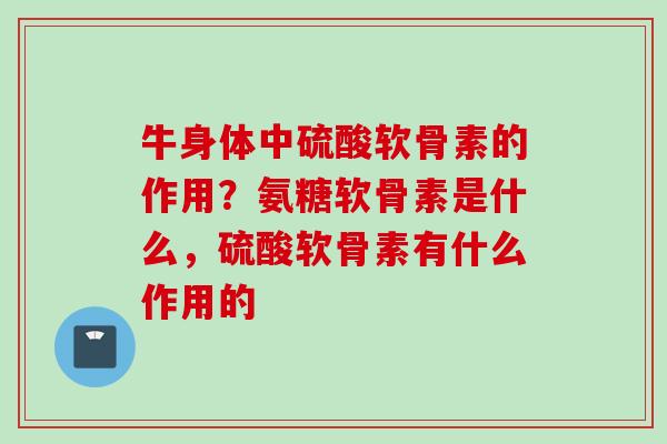 牛身体中硫酸软骨素的作用？氨糖软骨素是什么，硫酸软骨素有什么作用的