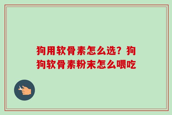 狗用软骨素怎么选？狗狗软骨素粉末怎么喂吃