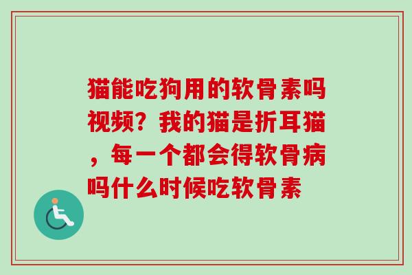 猫能吃狗用的软骨素吗视频？我的猫是折耳猫，每一个都会得软骨病吗什么时候吃软骨素