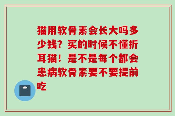 猫用软骨素会长大吗多少钱？买的时候不懂折耳猫！是不是每个都会患病软骨素要不要提前吃
