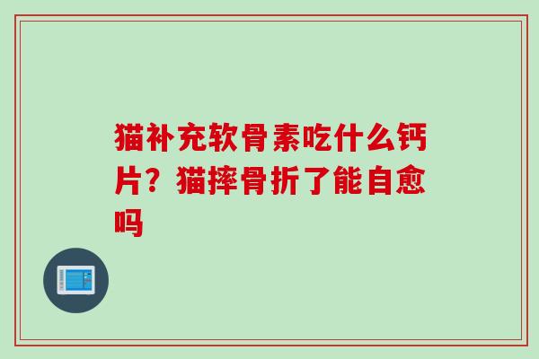猫补充软骨素吃什么钙片？猫摔骨折了能自愈吗