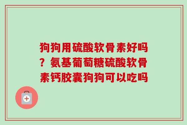 狗狗用硫酸软骨素好吗？氨基葡萄糖硫酸软骨素钙胶囊狗狗可以吃吗