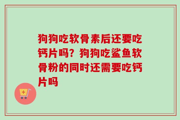 狗狗吃软骨素后还要吃钙片吗？狗狗吃鲨鱼软骨粉的同时还需要吃钙片吗