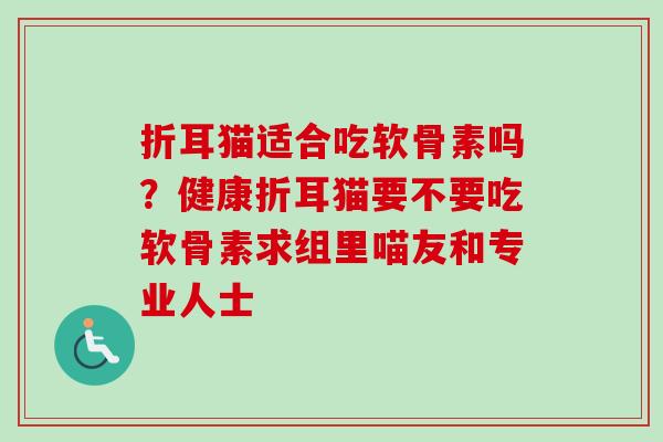 折耳猫适合吃软骨素吗？健康折耳猫要不要吃软骨素求组里喵友和专业人士