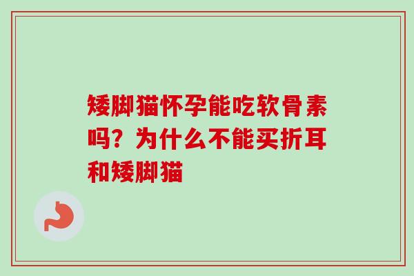 矮脚猫怀孕能吃软骨素吗？为什么不能买折耳和矮脚猫