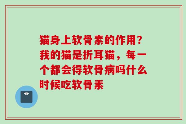 猫身上软骨素的作用？我的猫是折耳猫，每一个都会得软骨病吗什么时候吃软骨素