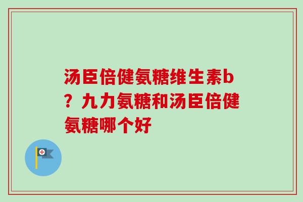 汤臣倍健氨糖维生素b？九力氨糖和汤臣倍健氨糖哪个好