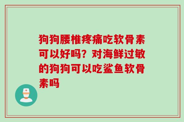 狗狗腰椎疼痛吃软骨素可以好吗？对海鲜过敏的狗狗可以吃鲨鱼软骨素吗