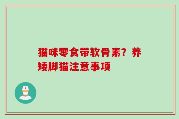 猫咪零食带软骨素？养矮脚猫注意事项