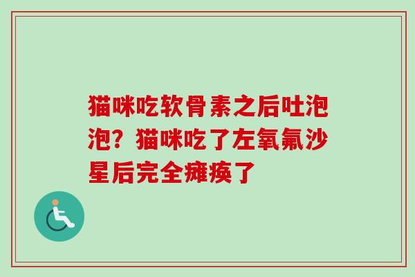 猫咪吃软骨素之后吐泡泡？猫咪吃了左氧氟沙星后完全瘫痪了