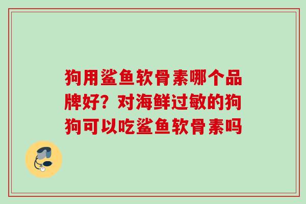 狗用鲨鱼软骨素哪个品牌好？对海鲜过敏的狗狗可以吃鲨鱼软骨素吗