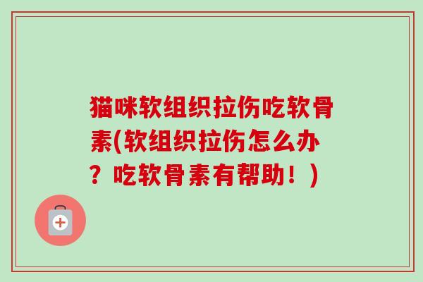 猫咪软组织拉伤吃软骨素(软组织拉伤怎么办？吃软骨素有帮助！)