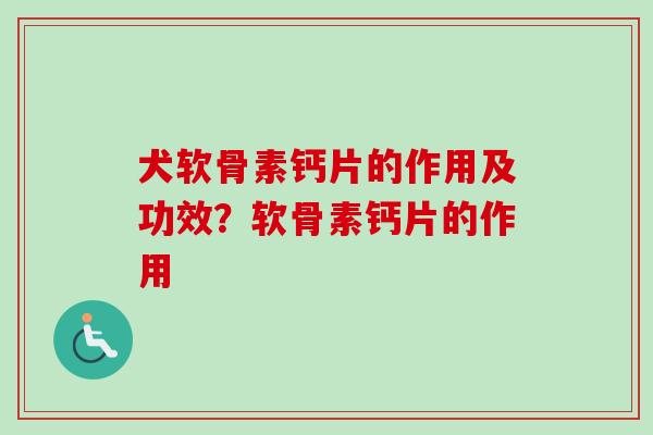 犬软骨素钙片的作用及功效？软骨素钙片的作用