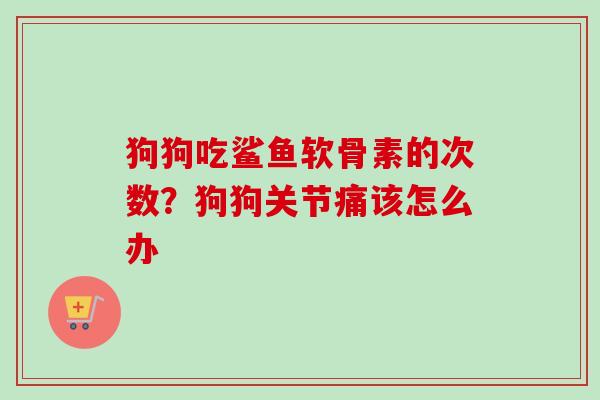 狗狗吃鲨鱼软骨素的次数？狗狗关节痛该怎么办