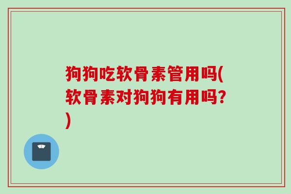 狗狗吃软骨素管用吗(软骨素对狗狗有用吗？)