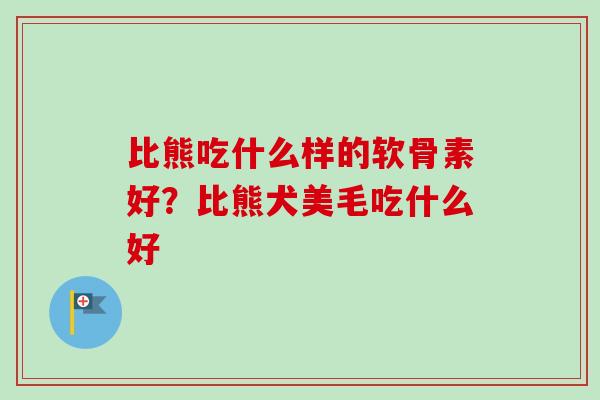 比熊吃什么样的软骨素好？比熊犬美毛吃什么好