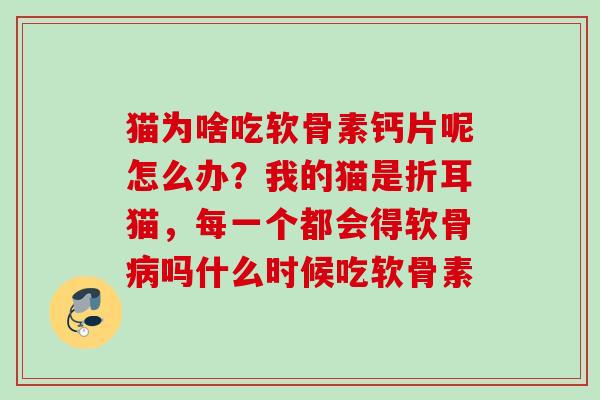 猫为啥吃软骨素钙片呢怎么办？我的猫是折耳猫，每一个都会得软骨病吗什么时候吃软骨素