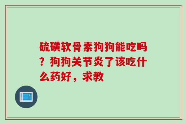 硫磺软骨素狗狗能吃吗？狗狗关节炎了该吃什么药好，求教
