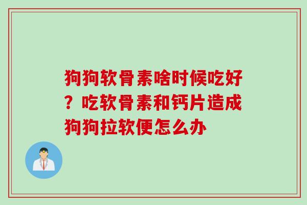 狗狗软骨素啥时候吃好？吃软骨素和钙片造成狗狗拉软便怎么办