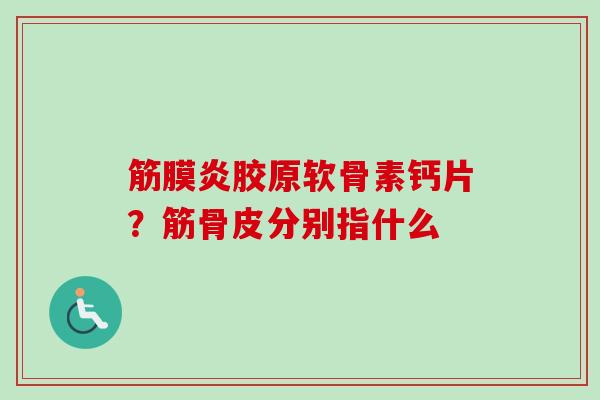 筋膜炎胶原软骨素钙片？筋骨皮分别指什么