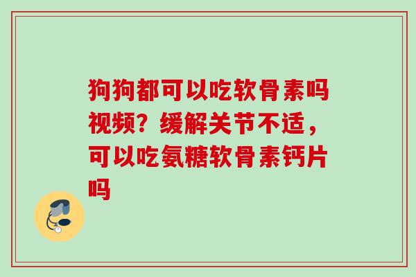 狗狗都可以吃软骨素吗视频？缓解关节不适，可以吃氨糖软骨素钙片吗