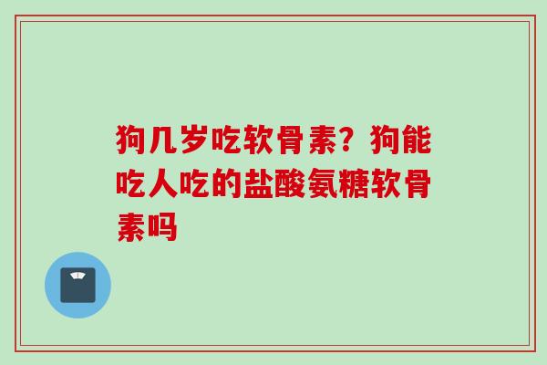 狗几岁吃软骨素？狗能吃人吃的盐酸氨糖软骨素吗