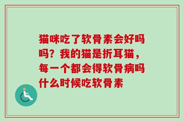 猫咪吃了软骨素会好吗吗？我的猫是折耳猫，每一个都会得软骨病吗什么时候吃软骨素