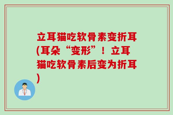 立耳猫吃软骨素变折耳(耳朵“变形”！立耳猫吃软骨素后变为折耳)
