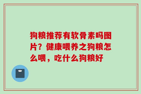 狗粮推荐有软骨素吗图片？健康喂养之狗粮怎么喂，吃什么狗粮好