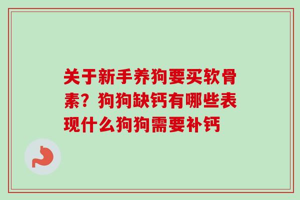 关于新手养狗要买软骨素？狗狗缺钙有哪些表现什么狗狗需要补钙