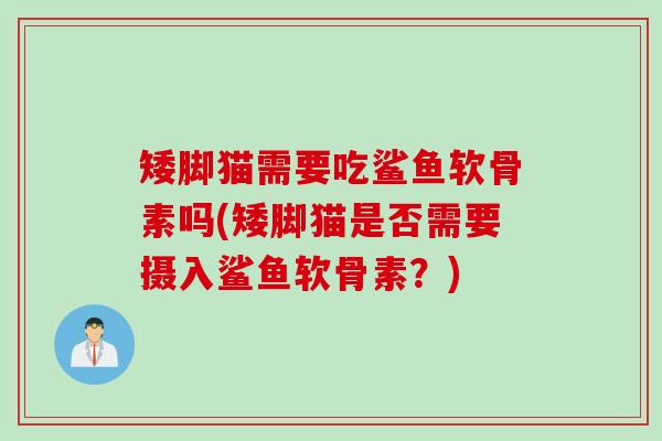 矮脚猫需要吃鲨鱼软骨素吗(矮脚猫是否需要摄入鲨鱼软骨素?) 矮脚猫需要吃鲨鱼软骨素吗(矮脚猫是否需要摄入鲨鱼软骨素?)