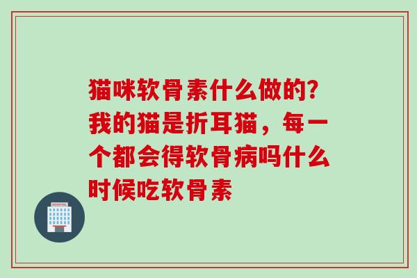 猫咪软骨素什么做的？我的猫是折耳猫，每一个都会得软骨病吗什么时候吃软骨素