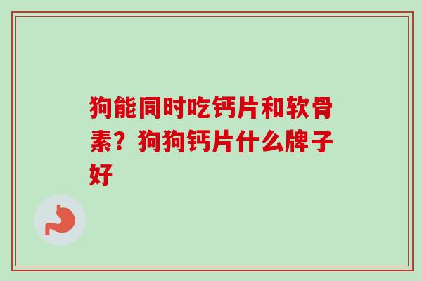 狗能同时吃钙片和软骨素？狗狗钙片什么牌子好