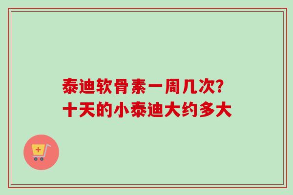 泰迪软骨素一周几次？十天的小泰迪大约多大