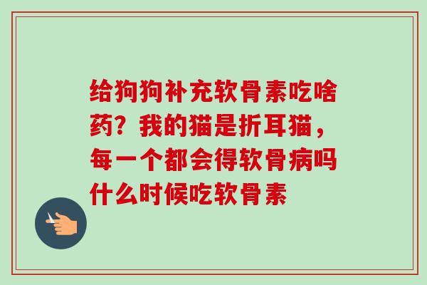 给狗狗补充软骨素吃啥药？我的猫是折耳猫，每一个都会得软骨病吗什么时候吃软骨素