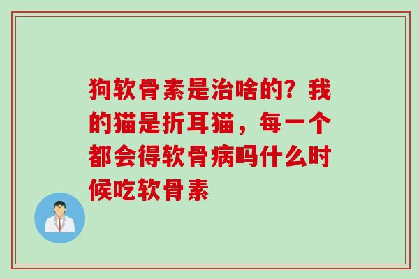 狗软骨素是治啥的？我的猫是折耳猫，每一个都会得软骨病吗什么时候吃软骨素
