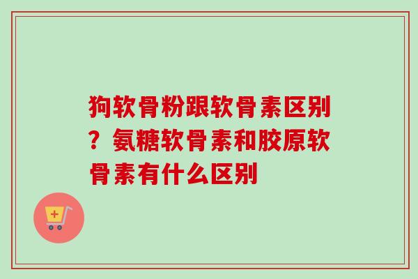 狗软骨粉跟软骨素区别？氨糖软骨素和胶原软骨素有什么区别