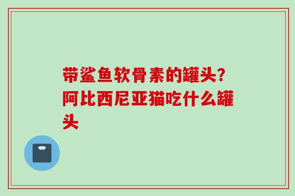 带鲨鱼软骨素的罐头？阿比西尼亚猫吃什么罐头
