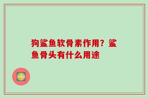 狗鲨鱼软骨素作用？鲨鱼骨头有什么用途