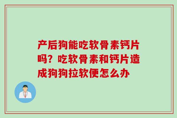 产后狗能吃软骨素钙片吗？吃软骨素和钙片造成狗狗拉软便怎么办