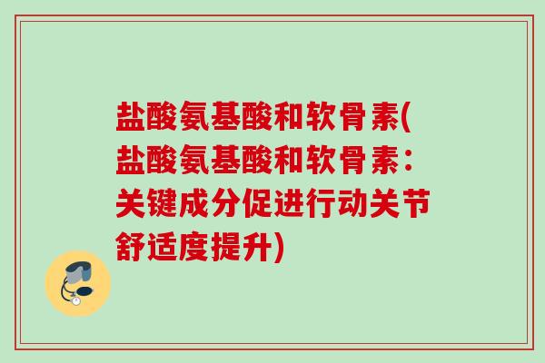 盐酸氨基酸和软骨素(盐酸氨基酸和软骨素：关键成分促进行动关节舒适度提升)