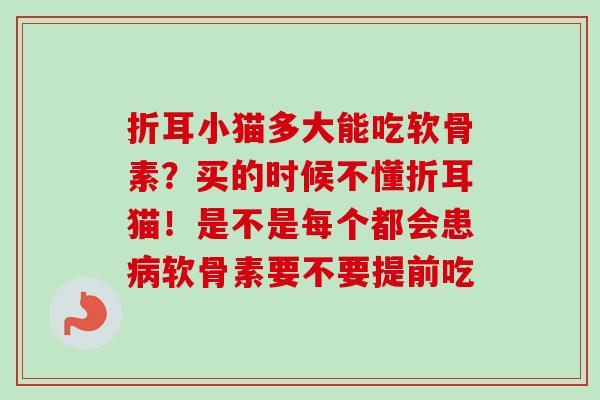 折耳小猫多大能吃软骨素？买的时候不懂折耳猫！是不是每个都会患病软骨素要不要提前吃