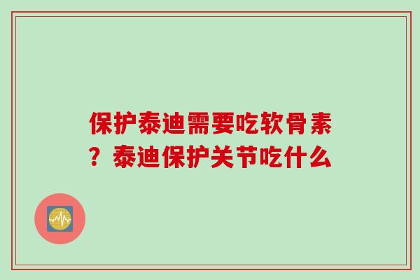 保护泰迪需要吃软骨素？泰迪保护关节吃什么