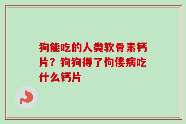 狗能吃的人类软骨素钙片？狗狗得了佝偻病吃什么钙片