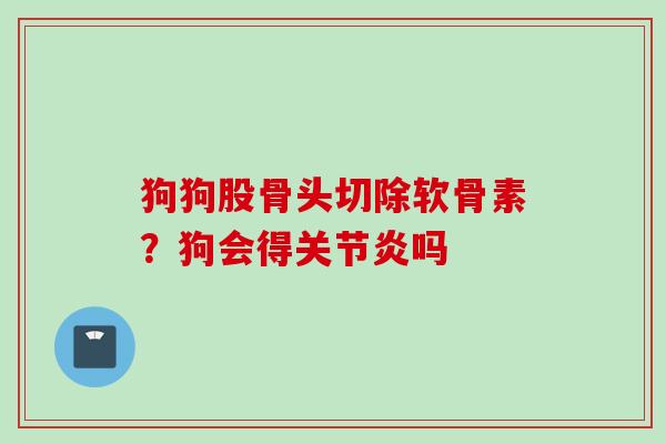 狗狗股骨头切除软骨素？狗会得吗