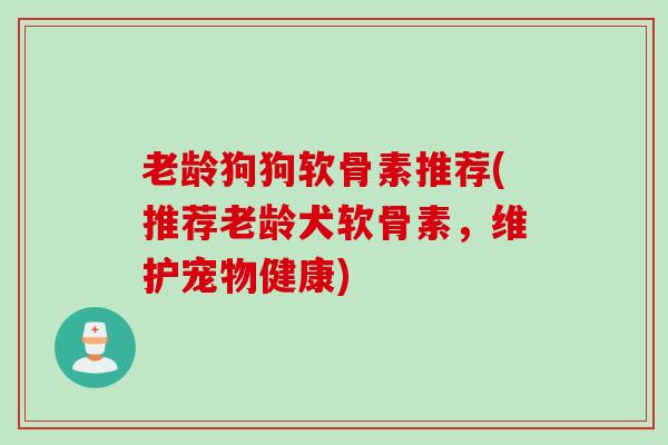 老龄狗狗软骨素推荐(推荐老龄犬软骨素，维护宠物健康)